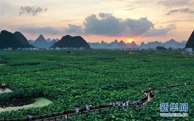 #ï¼ç»æµï¼ï¼3ï¼å¹¿è¥¿æ³å·ï¼ä¸äº©è·å¡è¿å®¢æ¥