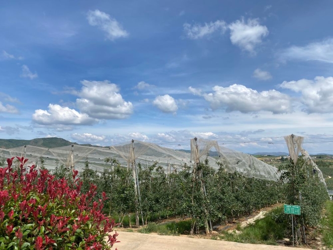 XxjwszC007018_20200629_CBMFN0A002.jpg@1000w_1e_1c_80Q_1x