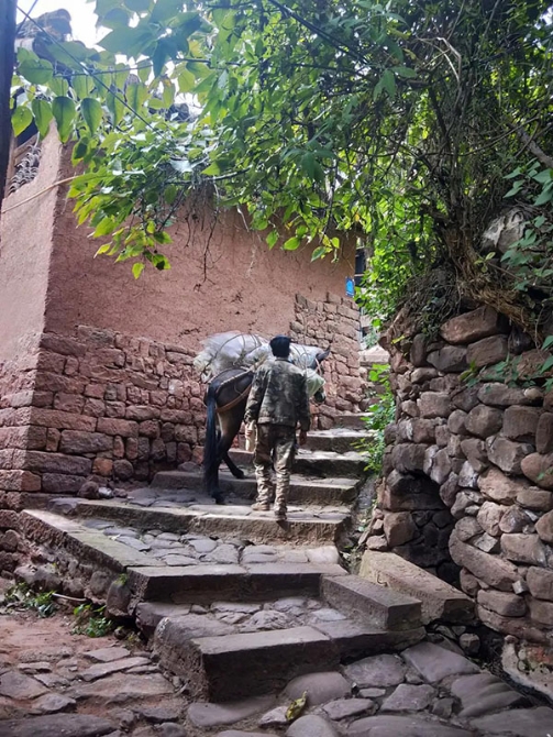 微信图片_20200528163317