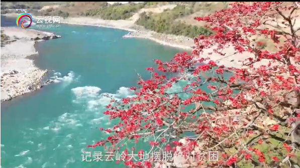 微信截图_20200630180236