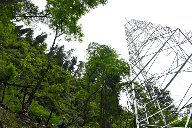 a_4625347221578014722