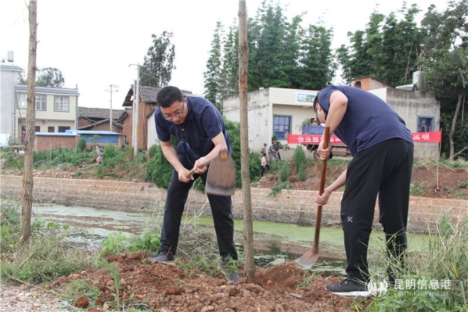 4323d1e8489dae70b29b399ec906b96