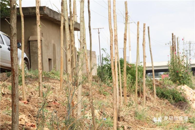 7e7cf1daf3cf0dee458352d20f13546