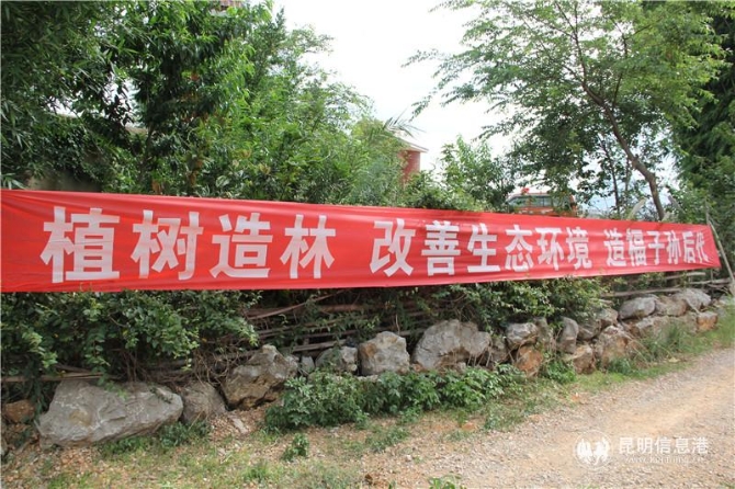 504050eaa7acddde7b3c7fd9f40a05b