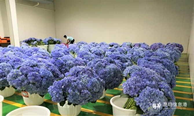 微信图片_20200630135039 微信图片_20200630135039