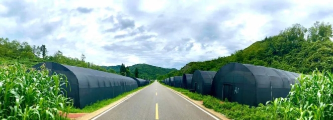 12f60c8998954d0e83979114be696e6c.jpeg@1000w_1e_1c_80Q_1x