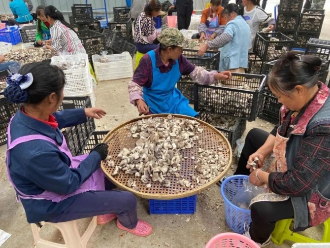 168f0b5693ff48549a3aeb1f7f0da955.jpeg@1000w_1e_1c_80Q_1x