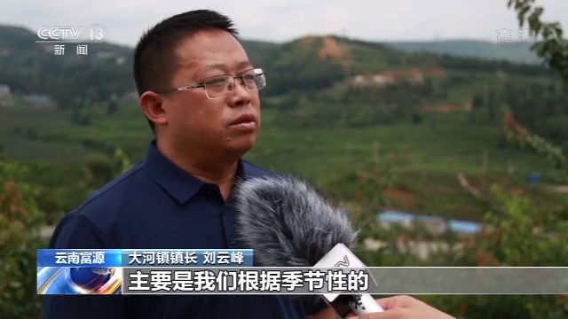 云南矿采荒山披新绿 生态修复富农家