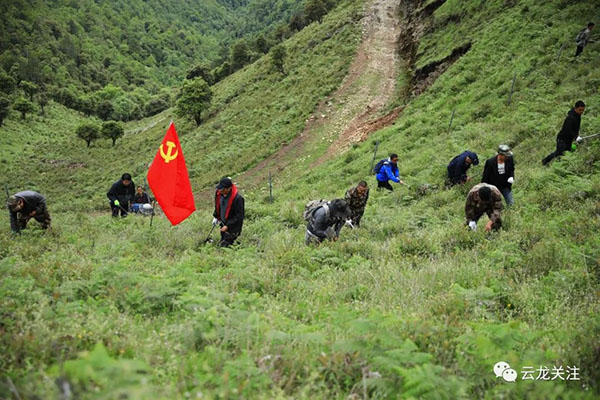 微信图片_20200707161719