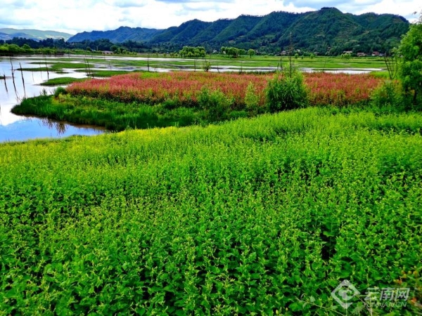 00301914985_302a1a77