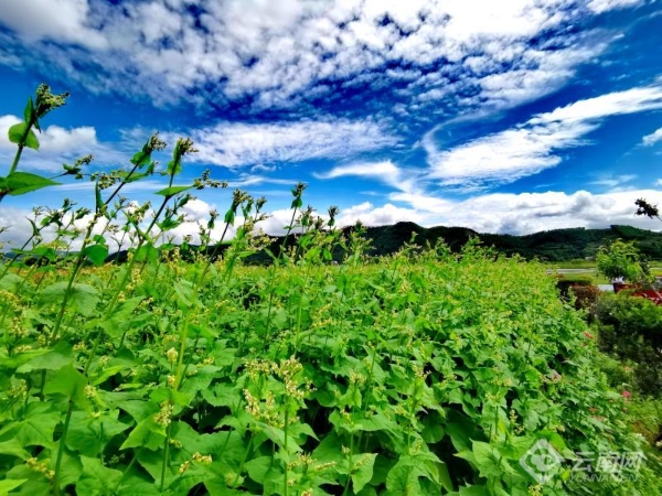 00301914988_9dcb4fc4