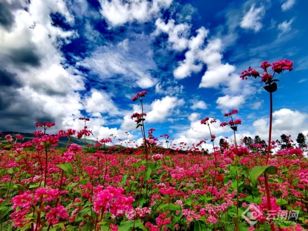 00301914989_727df831