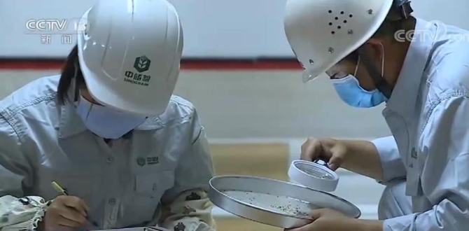 双优|今年夏粮生产收购“双好双优” 守住农民“种粮卖得出”底线