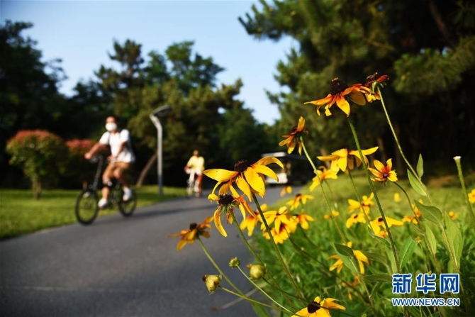 1126209506_15941694099241n 1126209506_15941694099241n