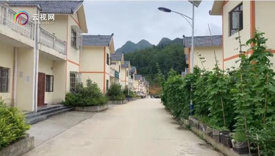 微博话题阅读破亿,全网点击1.5亿镇雄社会扶贫直播火爆,助