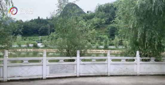 微博话题阅读破亿,全网点击1.5亿镇雄社会扶贫直播火爆,助