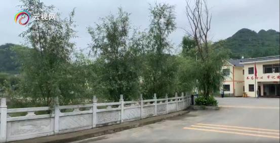 微博话题阅读破亿,全网点击1.5亿镇雄社会扶贫直播火爆,助