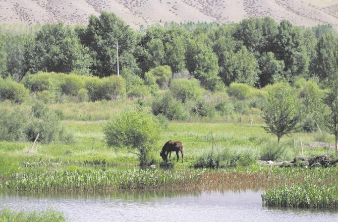 1594379144(1).png?x-oss-process=style/w10