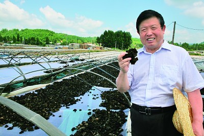 李玉:我怀揣着一个食用菌产业强国的梦想 李玉:我怀揣着一个食用菌产业强国的梦想