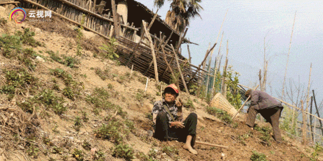 【直播预告】云岭脱贫攻坚总决战 · 福贡直过民族展风采