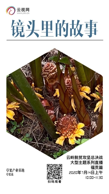 【直播预告】云岭脱贫攻坚总决战 · 福贡直过民族展风采