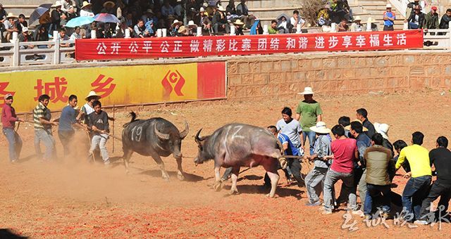 石林火把节开幕TT
