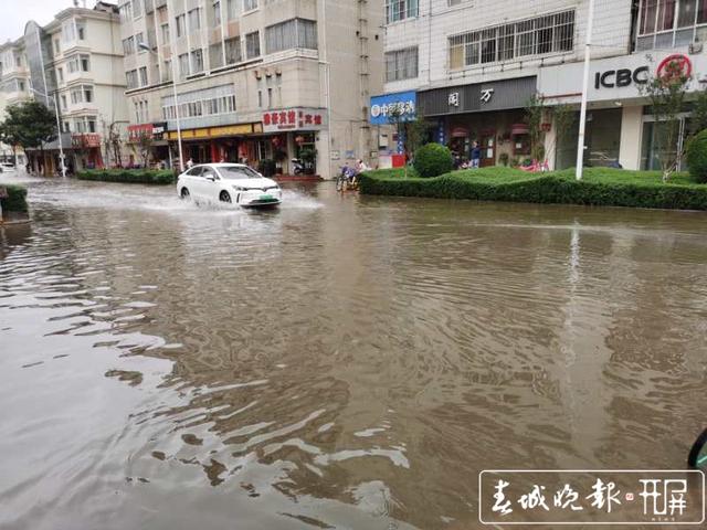 杨露 安康路 淹水