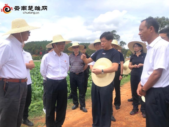 398fda23-2cec-43b9-b7b8-2395c3bc40b7_watermark