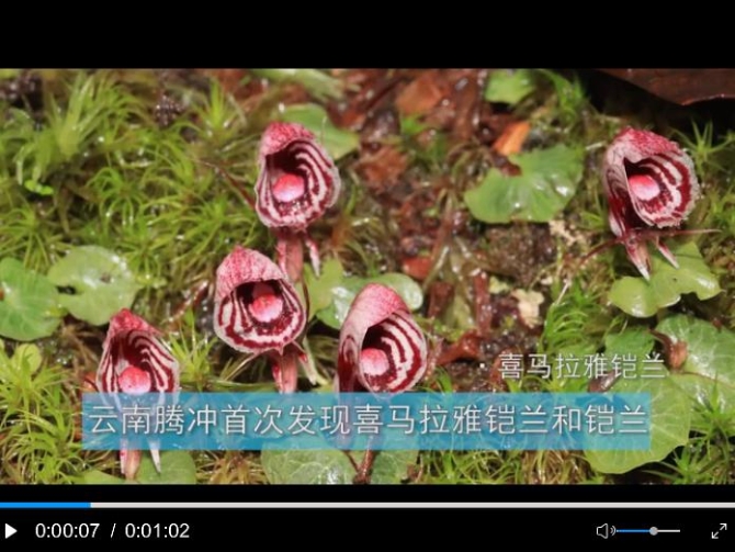 360截图20200720101745719 360截图20200720101745719