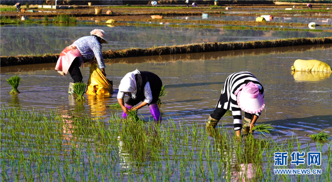 139221764_15952060399361n