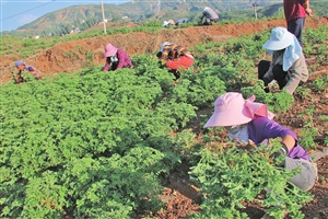 2019110802_res04_attpic_icon