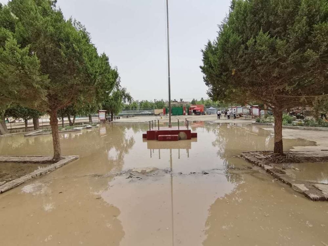 GxjfshC007036_20200725_CBMFN0A001