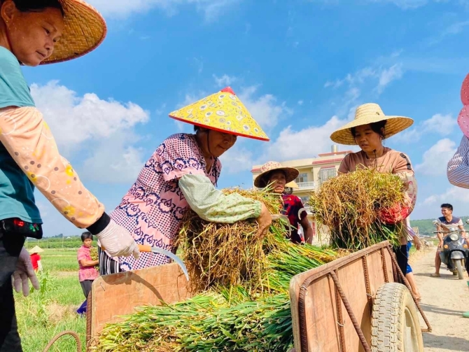 微信图片_20200725140333.jpg?x-oss-process=style/w10