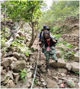 1595830435737556.png?x-oss-process=style/w10 微信图片_20200727141204.png?x-oss-process=style/w10