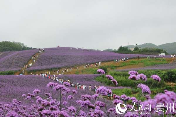 2.jpg?x-oss-process=style/w10