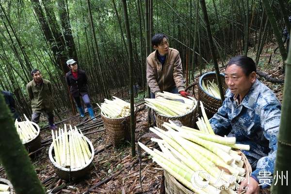 3.jpg?x-oss-process=style/w10