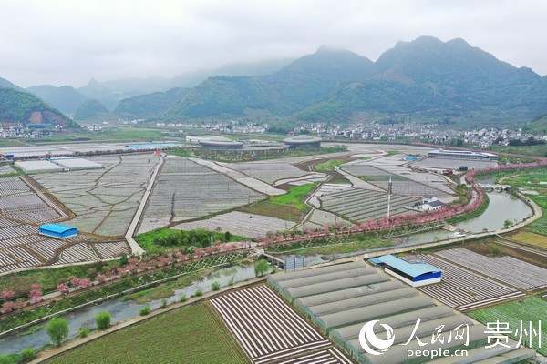 微信图片_20200804114347.jpg?x-oss-process=style/w10