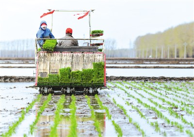 rmrbhwb2020080708p45_b rmrbhwb2020080708p45_b