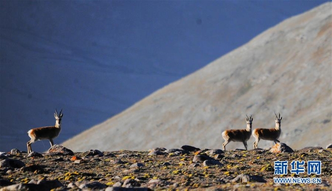 1126347054_15970212696531n 1126347054_15970212696531n