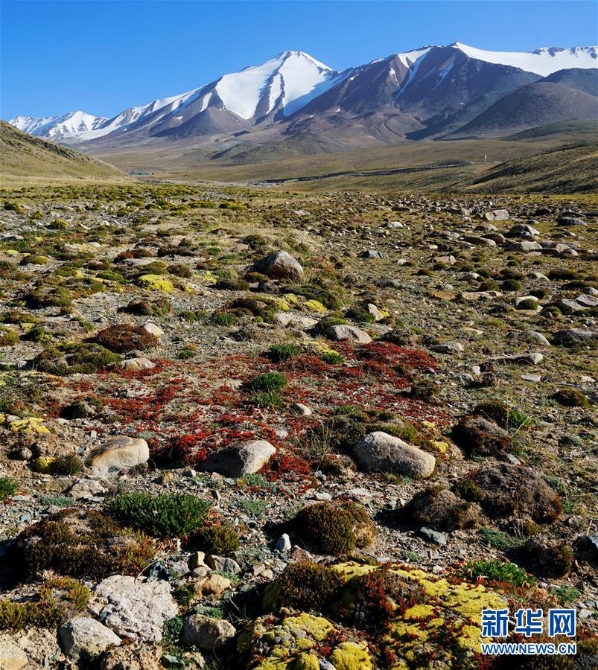 1126347054_15970212697251n 1126347054_15970212697251n