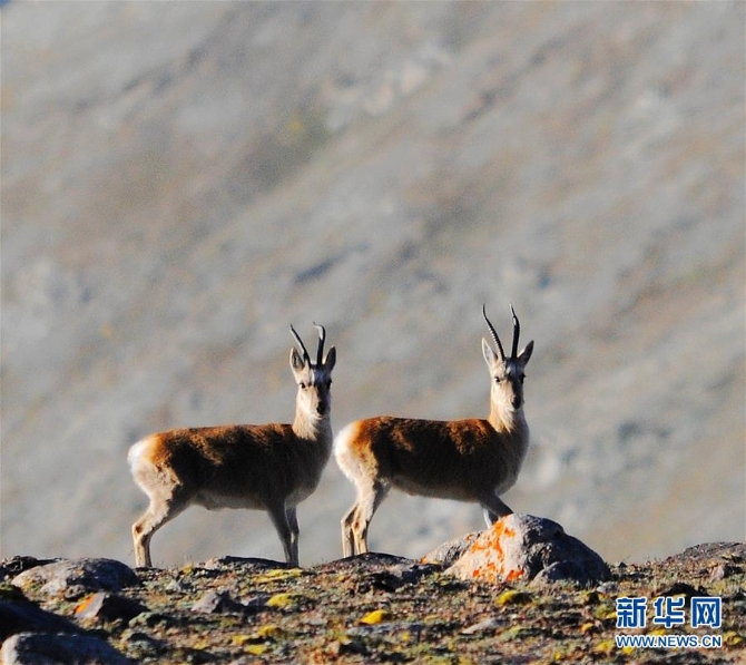 1126347054_15970212697721n 1126347054_15970212697721n