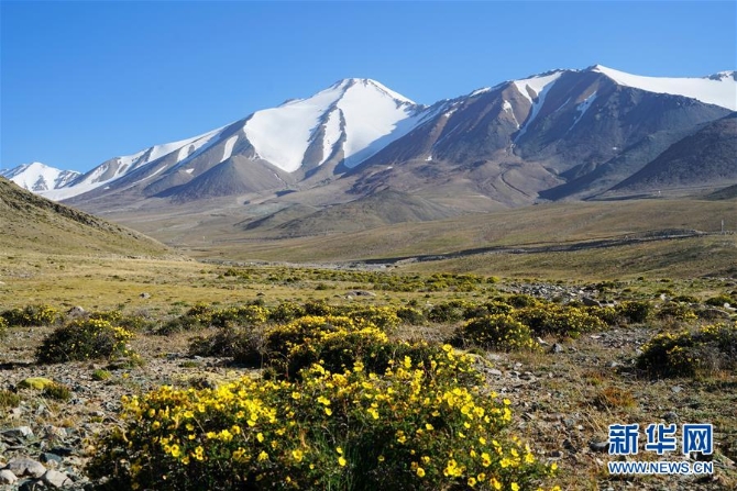 1126347054_15970212698071n 1126347054_15970212698071n