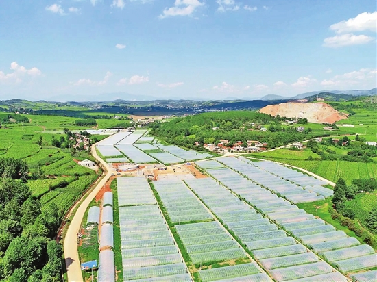 2020081003_res03_attpic_brief 2020081003_res03_attpic_brief