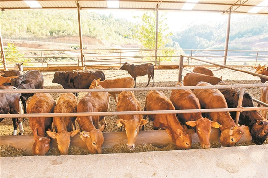 2020081407_res07_attpic_brief