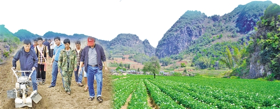 2020081407_res11_attpic_brief