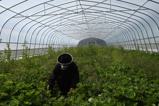 微信图片_20200818090352.jpg 微信图片_20200818090352.jpg