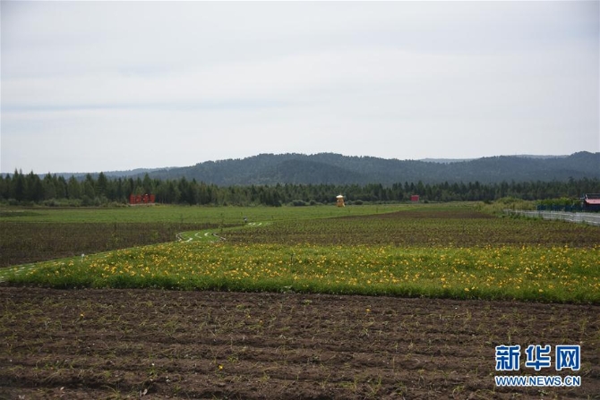 （图文互动）（3）老林区变身“山水田园”新民宿