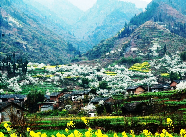 宜毕高速 威信至镇雄段