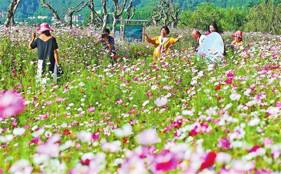 2020083102_res03_attpic_brief