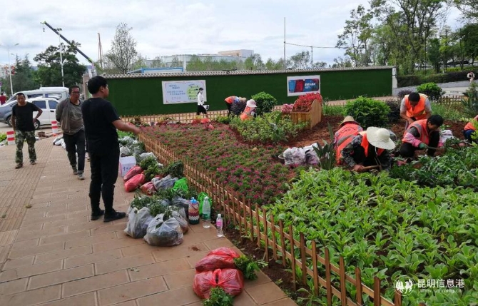 对城区边角空地开展增绿1 对城区边角空地开展增绿1